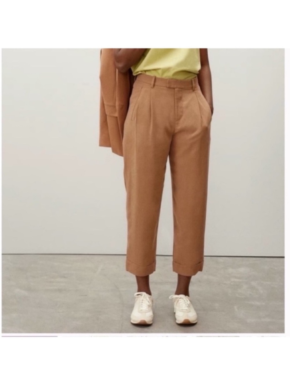 Everlane pleat paper bag pants high rise ankle cropped